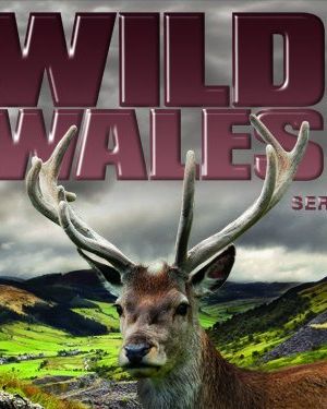 Wild Wales Season 1海报封面图
