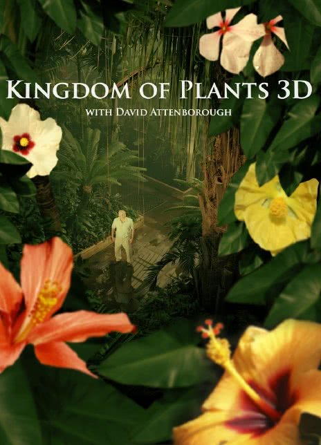 2012高分纪录《植物王国》全集 HD1080P 迅雷下载