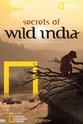 Duncan Chard 国家地理：狂野印度