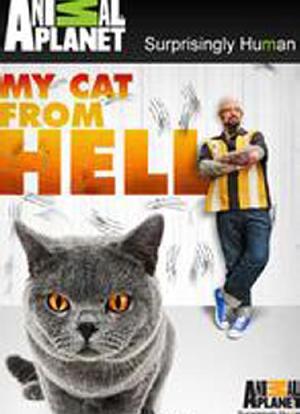 家有恶猫 第一季海报封面图