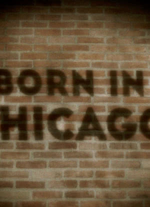 Born in Chicago海报封面图