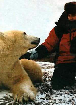 伊万·麦格雷戈探访野生北极熊海报封面图