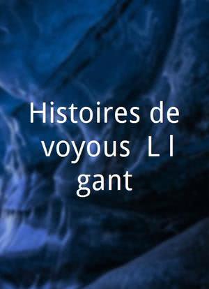 Histoires de voyous: L'élégant海报封面图