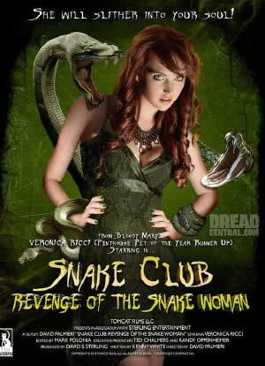 毒蛇俱乐部海报封面图