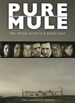 Pure Mule海报封面图