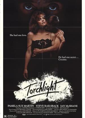 Torchlight海报封面图