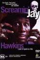 Peter Zaremba Screamin' Jay Hawkins: I Put a Spell on Me