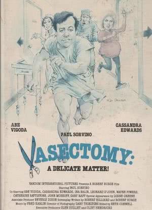 Vasectomy: A Delicate Matter海报封面图