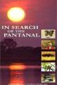 David Mann In Search of the Pantanal