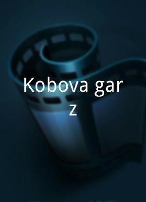 Kobova garáz海报封面图