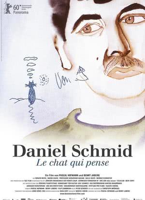 Daniel Schmid - Le chat qui pense海报封面图