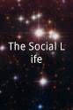 瑞贝尔·威尔森 The Social Life