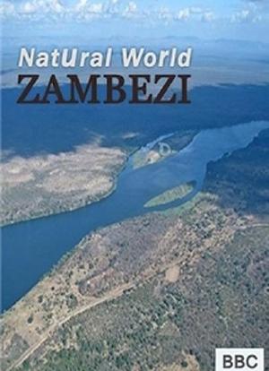 自然世界：赞比西河海报封面图