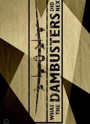 What The Dambusters Did Next海报封面图