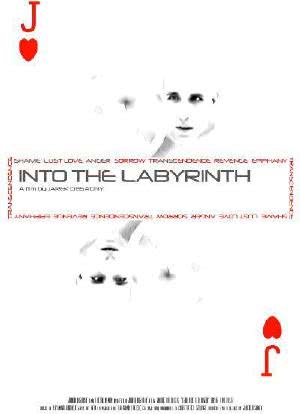 Into the Labyrinth海报封面图
