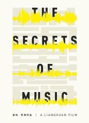 音乐的秘密海报封面图