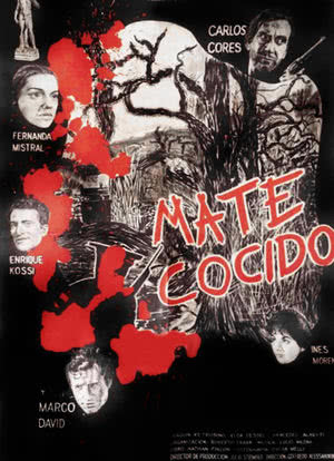 Mate Cosido海报封面图