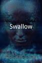 Ken Mora Swallow