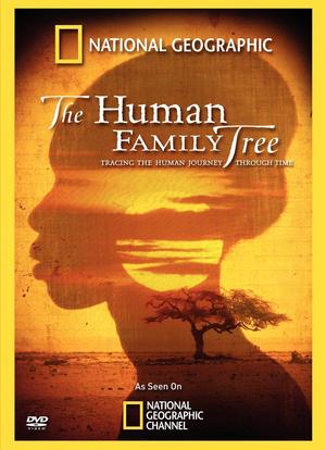 2009年国家地理杂志专题 人类基因树海报封面图