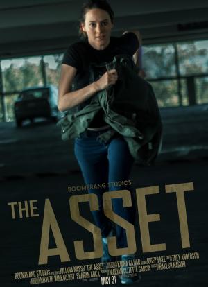 The Asset海报封面图