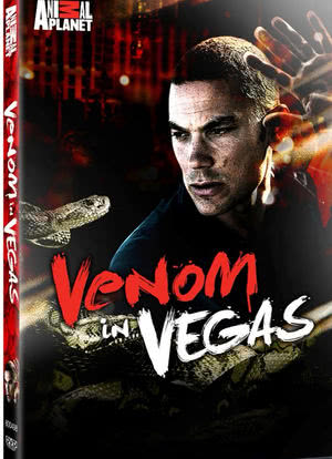 Venom in Vegas海报封面图