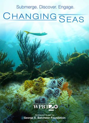 Changing Seas海报封面图