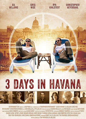 哈瓦那三日危情海报封面图