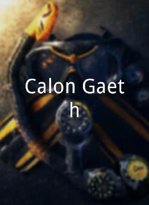Calon Gaeth海报封面图