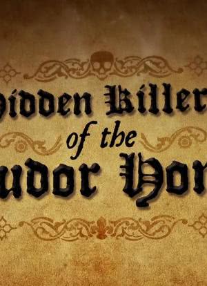 Hidden Killers Of The Tudor Home海报封面图