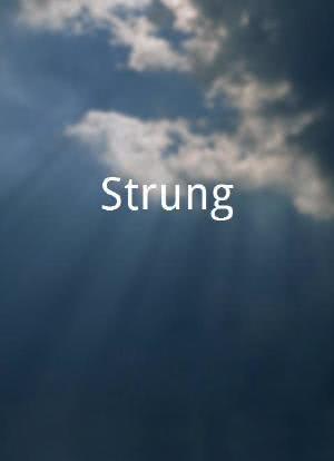 Strung海报封面图