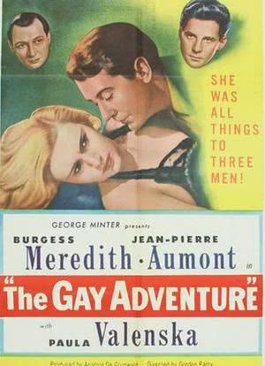 The Gay Adventure海报封面图