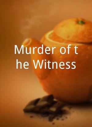 Murder of the Witness海报封面图
