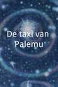 Marielle van Sauers De taxi van Palemu