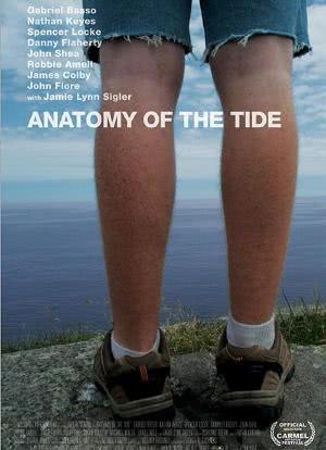 Anatomy of the Tide海报封面图
