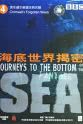 Kuti Sabag 海底世界揭秘：克伦威尔被遗忘的沉船