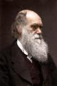 Antony Thomas HBO: Questioning Darwin