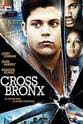 Larry Golin Cross Bronx