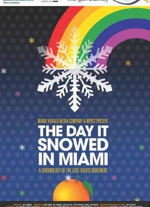 迈阿密也曾六月飞雪海报封面图