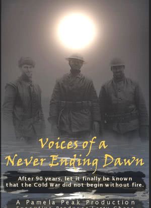 Voices of a Never Ending Dawn海报封面图