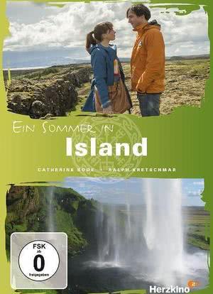 冰岛的夏天海报封面图