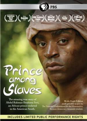 Prince Among Slaves海报封面图