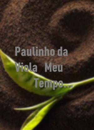 Paulinho da Viola - Meu Tempo É Hoje海报封面图