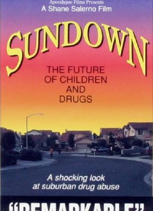 Sundown: The Future of Children and Drugs海报封面图