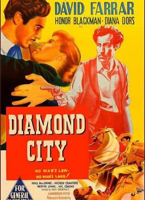 Diamond City海报封面图