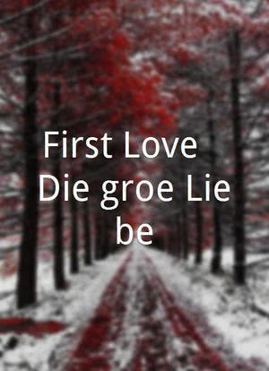 First Love - Die große Liebe海报封面图
