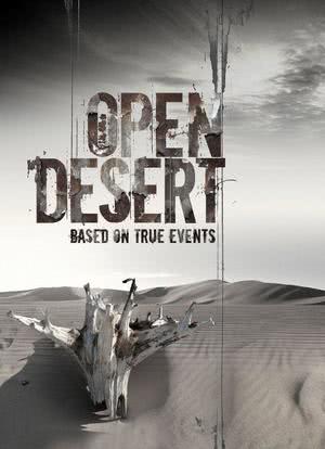 Open Desert海报封面图