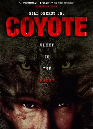 Coyote海报封面图