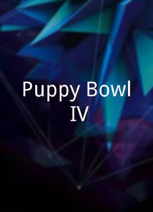 Puppy Bowl IV海报封面图
