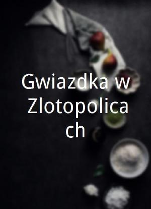 Gwiazdka w Zlotopolicach海报封面图