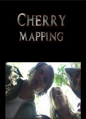 Cherry Mapping海报封面图